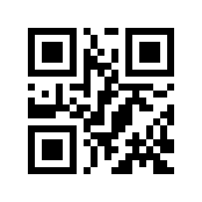 QR code 29009