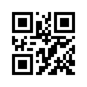 QR code 29017