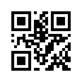 QR code 29051