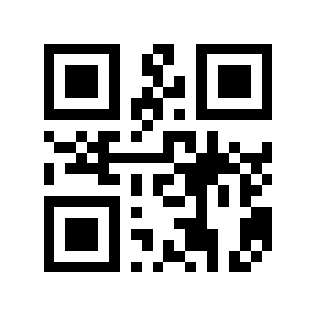 QR code 29101941