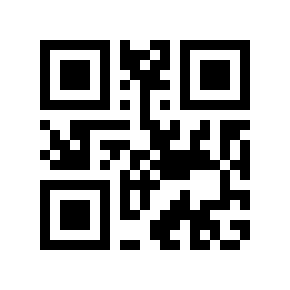 QR code 29111