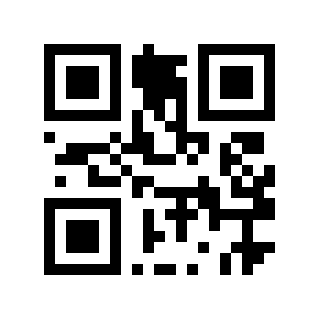 QR code 2912019
