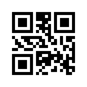 QR code 2912020