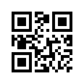QR code 2912031