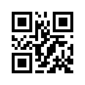 QR code 291651