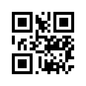QR code 29211