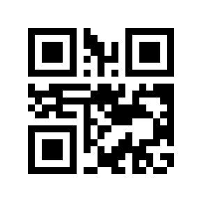 QR code 293504