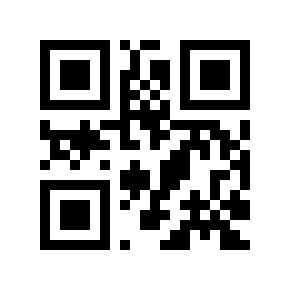 QR code 293505