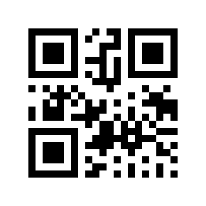 QR code 29378