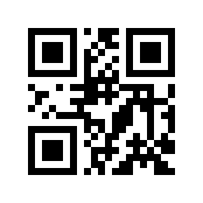 QR code 293911