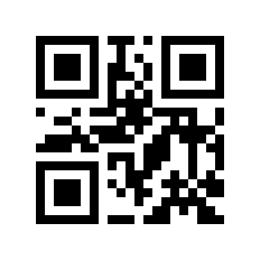 QR code 293943