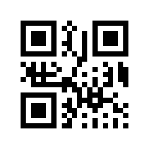 QR code 294205