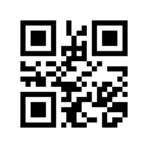 QR code 294655