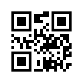 QR code 295244