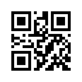 QR code 295313