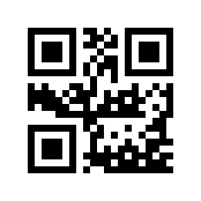 QR code 295494