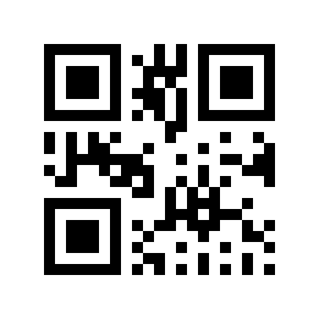 QR code 295505