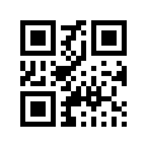 QR code 295507