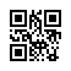 QR code 2995