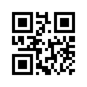 QR code 2999989