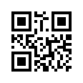 QR code 2999993