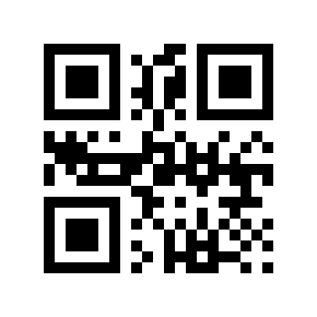 QR code 2999994