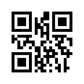 QR code 2999996