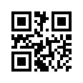 QR code 2999999