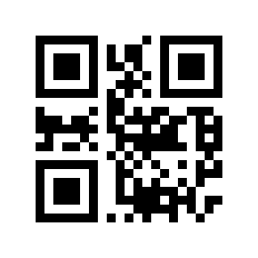 QR code 300006