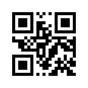QR code 300038