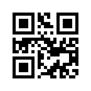 QR code 300048