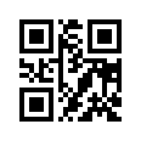 QR code 300423