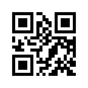 QR code 300480