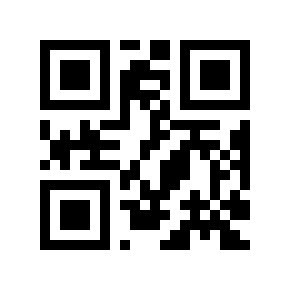 QR code 300573