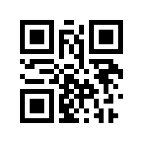 QR code 30111999