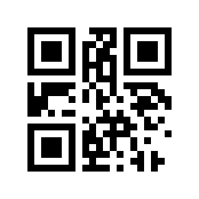 QR code 30121955