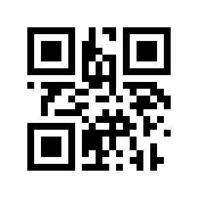 QR code 30121960