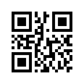 QR code 30121963