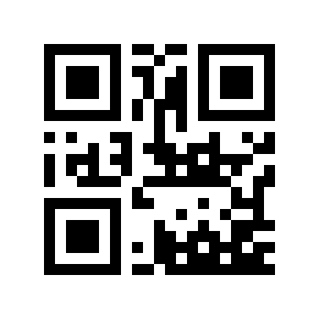 QR code 303029