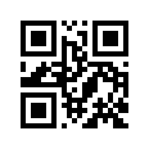 QR code 303480