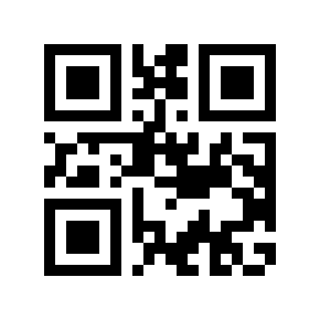 QR code 304541