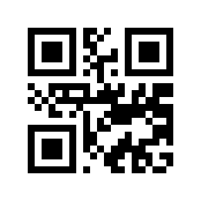 QR code 313007