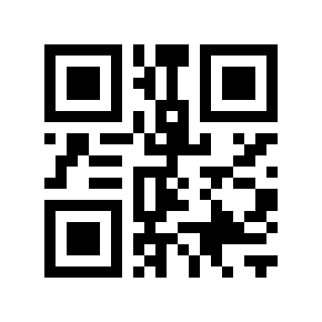 QR code 313133