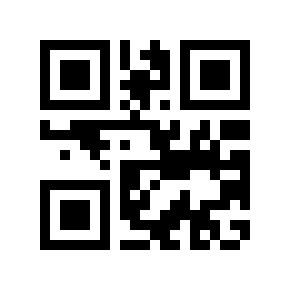 QR code 313163