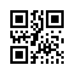 QR code 313378