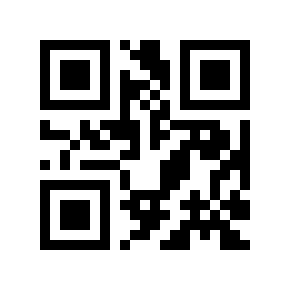 QR code 313385