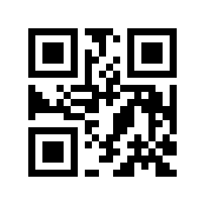 QR code 313429