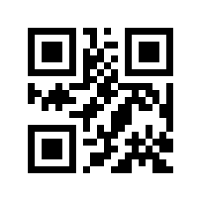 QR code 313458