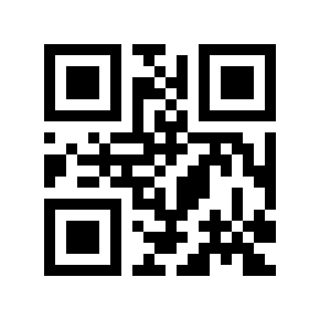 QR code 313507