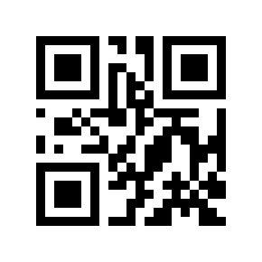 QR code 313517